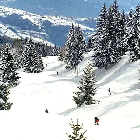 Woodland Village 3*